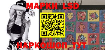 гидропоника Чебоксары