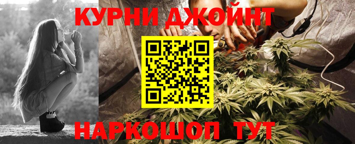 Канабис планчик Муравленко